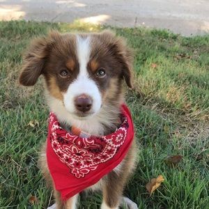 Meet your Posher, Kolby